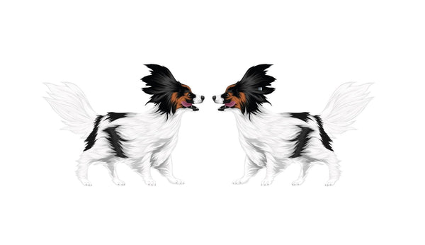 Life-Sized Papillon Decals - Cover-Alls Decals