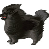 Life-Sized Pomeranian Decal - Cover-Alls Decals