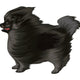 Black Pom