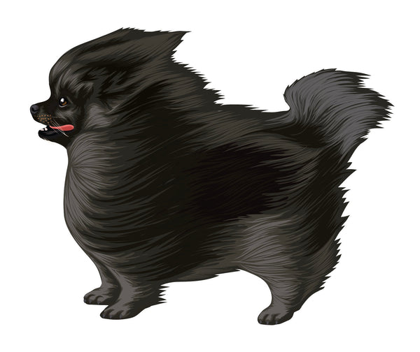 Life-Sized Pomeranian Decal - Cover-Alls Decals