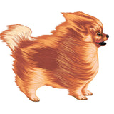 Life-Sized Pomeranian Decal - Cover-Alls Decals