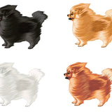 Life-Sized Pomeranian Decal - Cover-Alls Decals