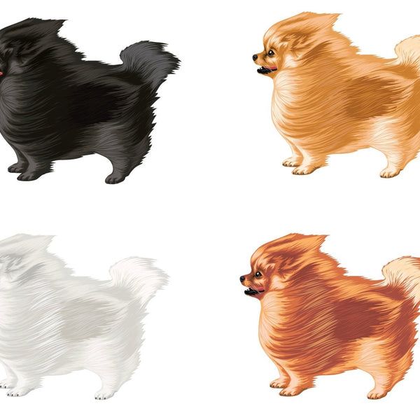 Life-Sized Pomeranian Decal - Cover-Alls Decals