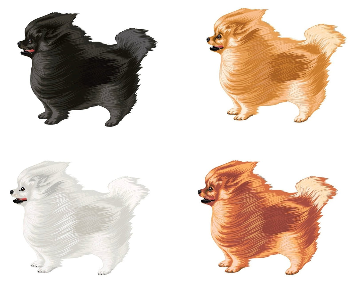 Life-Sized Pomeranian Decal - Cover-Alls Decals