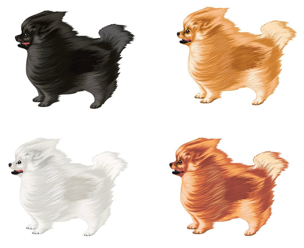 Life-Sized Pomeranian Decal - Cover-Alls Decals