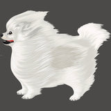 Life-Sized Pomeranian Decal - Cover-Alls Decals