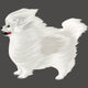 White Pom
