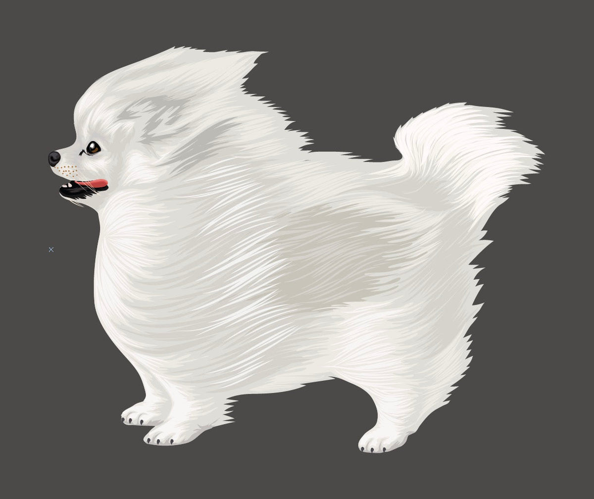Life-Sized Pomeranian Decal - Cover-Alls Decals