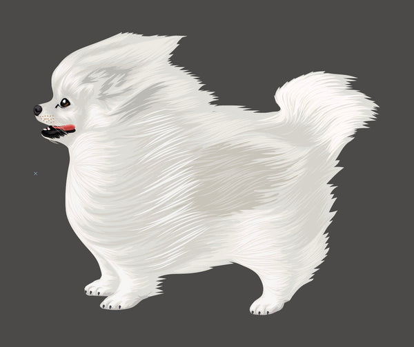 Life-Sized Pomeranian Decal - Cover-Alls Decals
