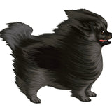 Life-Sized Pomeranian Decal - Cover-Alls Decals
