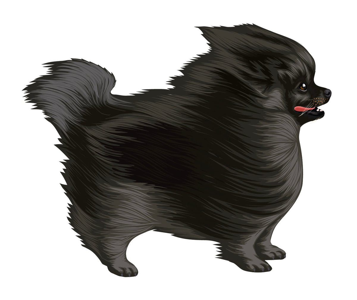 Life-Sized Pomeranian Decal - Cover-Alls Decals