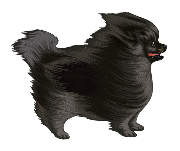 Life-Sized Pomeranian Decal - Cover-Alls Decals
