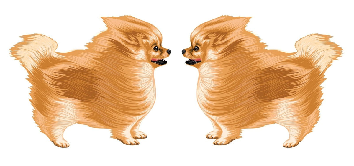 Life-Sized Pomeranian Decal - Cover-Alls Decals
