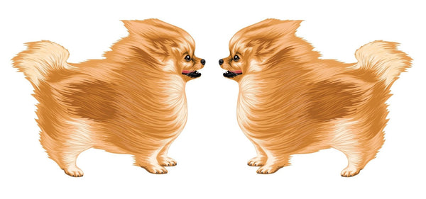 Life-Sized Pomeranian Decal - Cover-Alls Decals