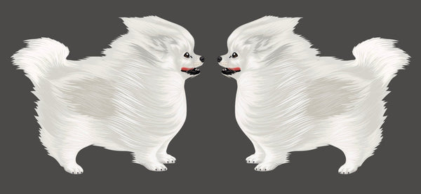 Life-Sized Pomeranian Decal - Cover-Alls Decals