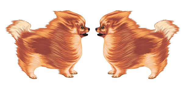 Life-Sized Pomeranian Decal - Cover-Alls Decals