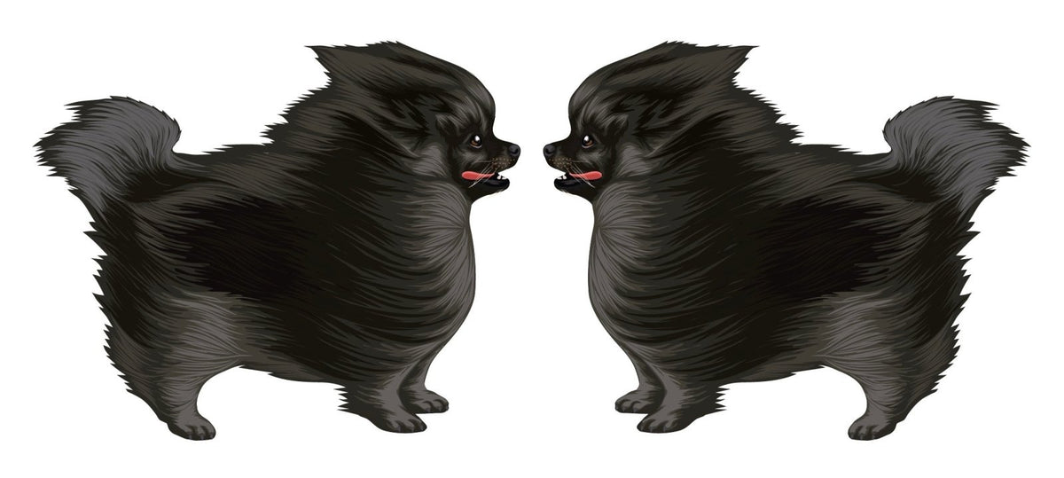 Life-Sized Pomeranian Decal - Cover-Alls Decals