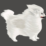 Life-Sized Pomeranian Decal - Cover-Alls Decals