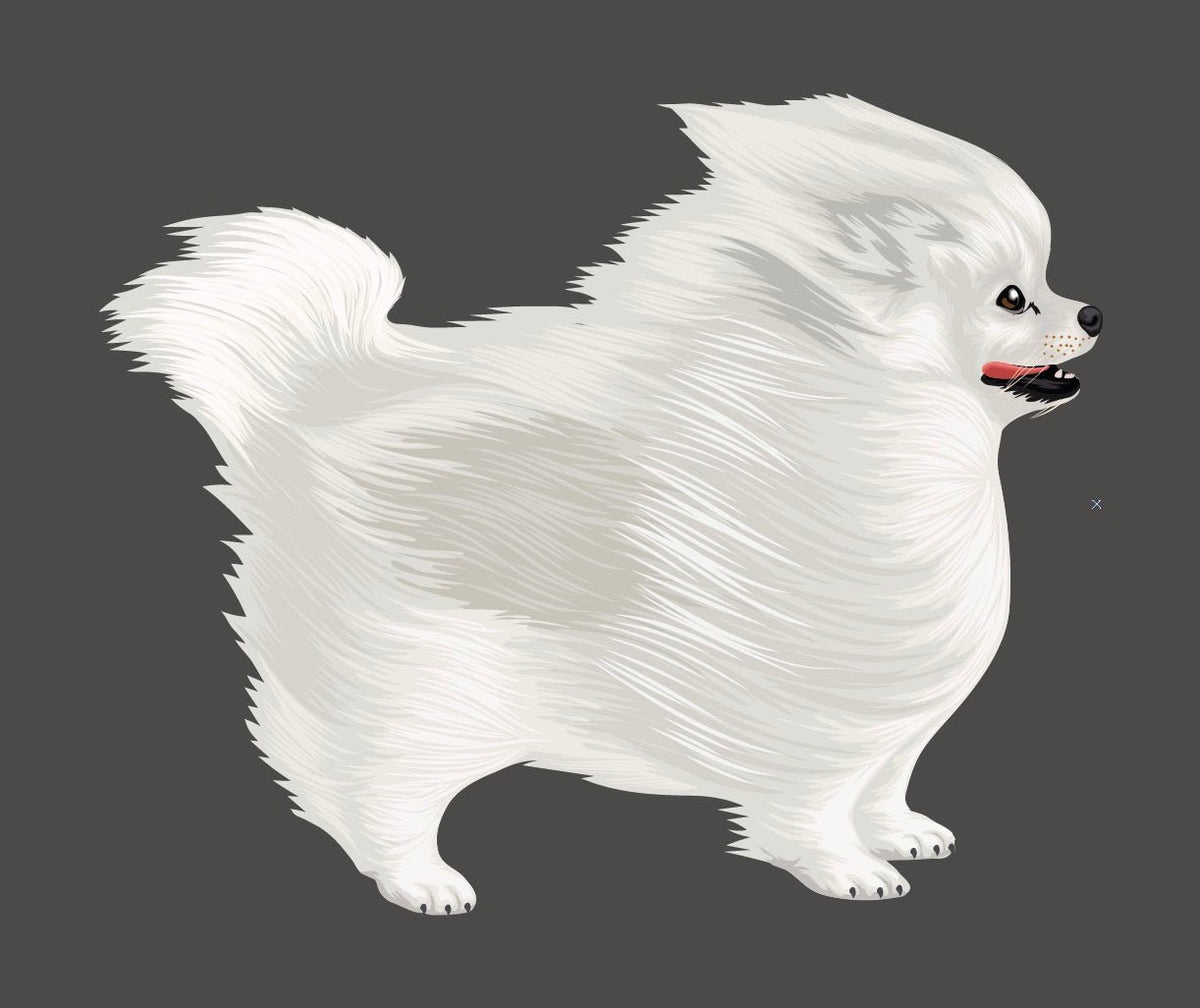 Life-Sized Pomeranian Decal - Cover-Alls Decals