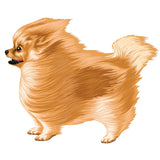 Life-Sized Pomeranian Decal - Cover-Alls Decals
