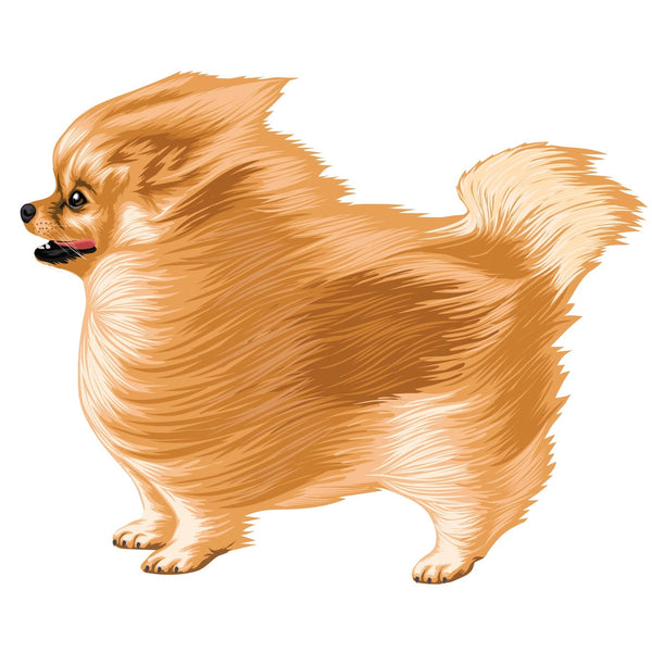 Life-Sized Pomeranian Decal - Cover-Alls Decals