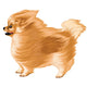Orange Pom