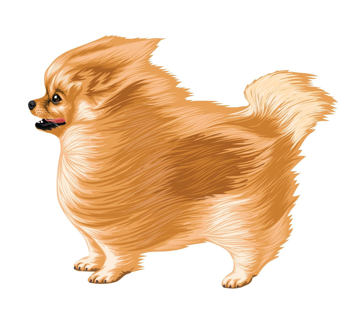 Life-Sized Pomeranian Decal - Cover-Alls Decals
