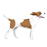 Life-Sized Rat Terrier Decals - Cover-Alls Decals