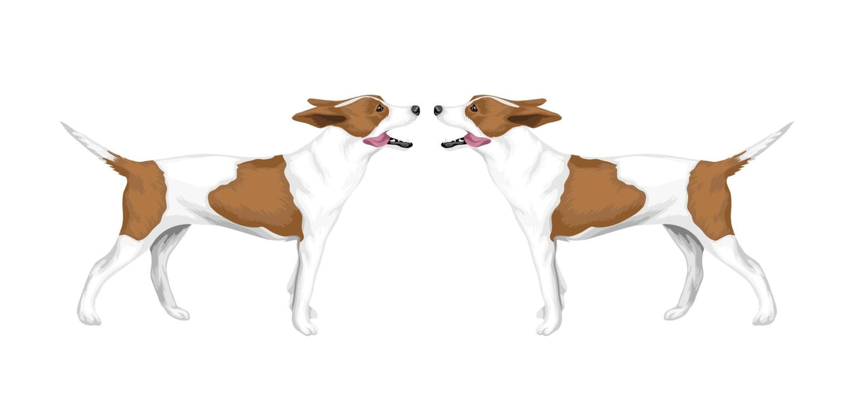 Life-Sized Rat Terrier Decals - Cover-Alls Decals