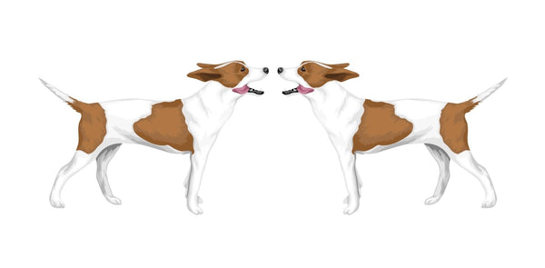 Life-Sized Rat Terrier Decals - Cover-Alls Decals