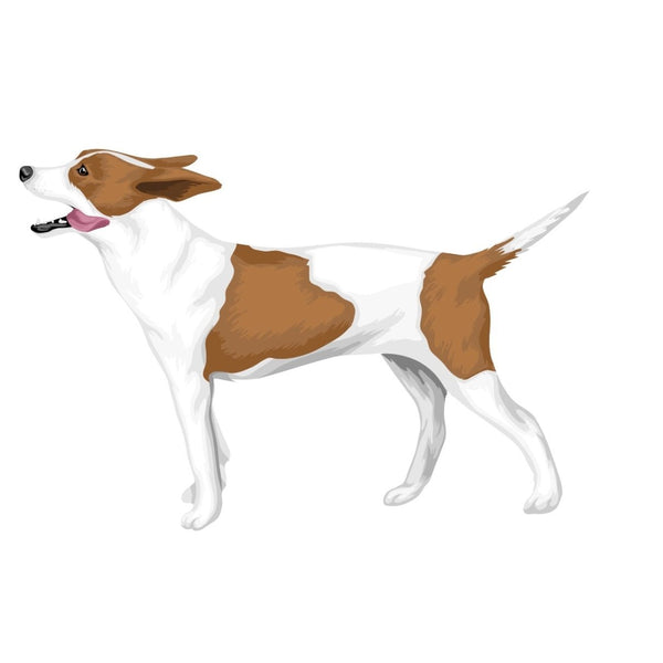 Life-Sized Rat Terrier Decals - Cover-Alls Decals