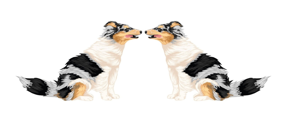 Life-Sized Shetland Sheepdog Decals - Cover-Alls Decals