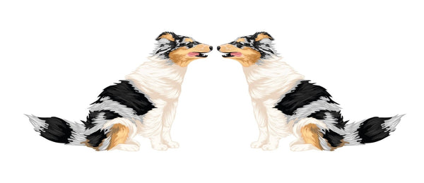 Life-Sized Shetland Sheepdog Decals - Cover-Alls Decals