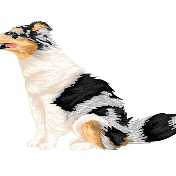 Life-Sized Shetland Sheepdog Decals - Cover-Alls Decals