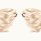 Life-Sized Shi Tzu Decal - Cover-Alls Decals