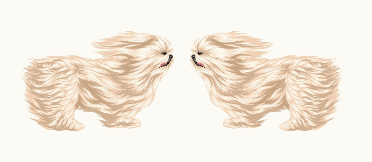 Life-Sized Shi Tzu Decal - Cover-Alls Decals