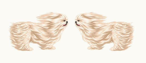 Life-Sized Shi Tzu Decal - Cover-Alls Decals