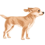 Life-Sized Short Haired Chihuahua Decals - Cover-Alls Decals