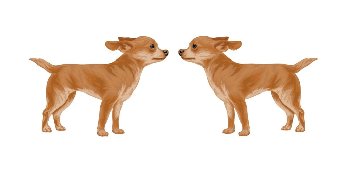 Life-Sized Short Haired Chihuahua Decals - Cover-Alls Decals