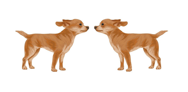Life-Sized Short Haired Chihuahua Decals - Cover-Alls Decals