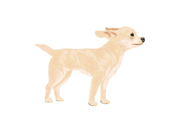 Life-Sized Short Haired Chihuahua Decals - Cover-Alls Decals