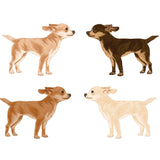 Life-Sized Short Haired Chihuahua Decals - Cover-Alls Decals