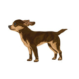 Life-Sized Short Haired Chihuahua Decals - Cover-Alls Decals