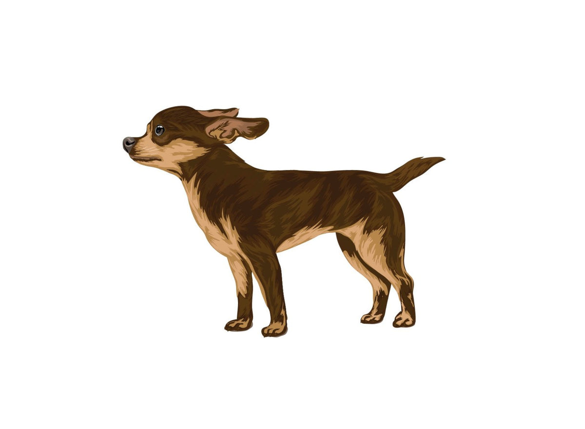 Life-Sized Short Haired Chihuahua Decals - Cover-Alls Decals