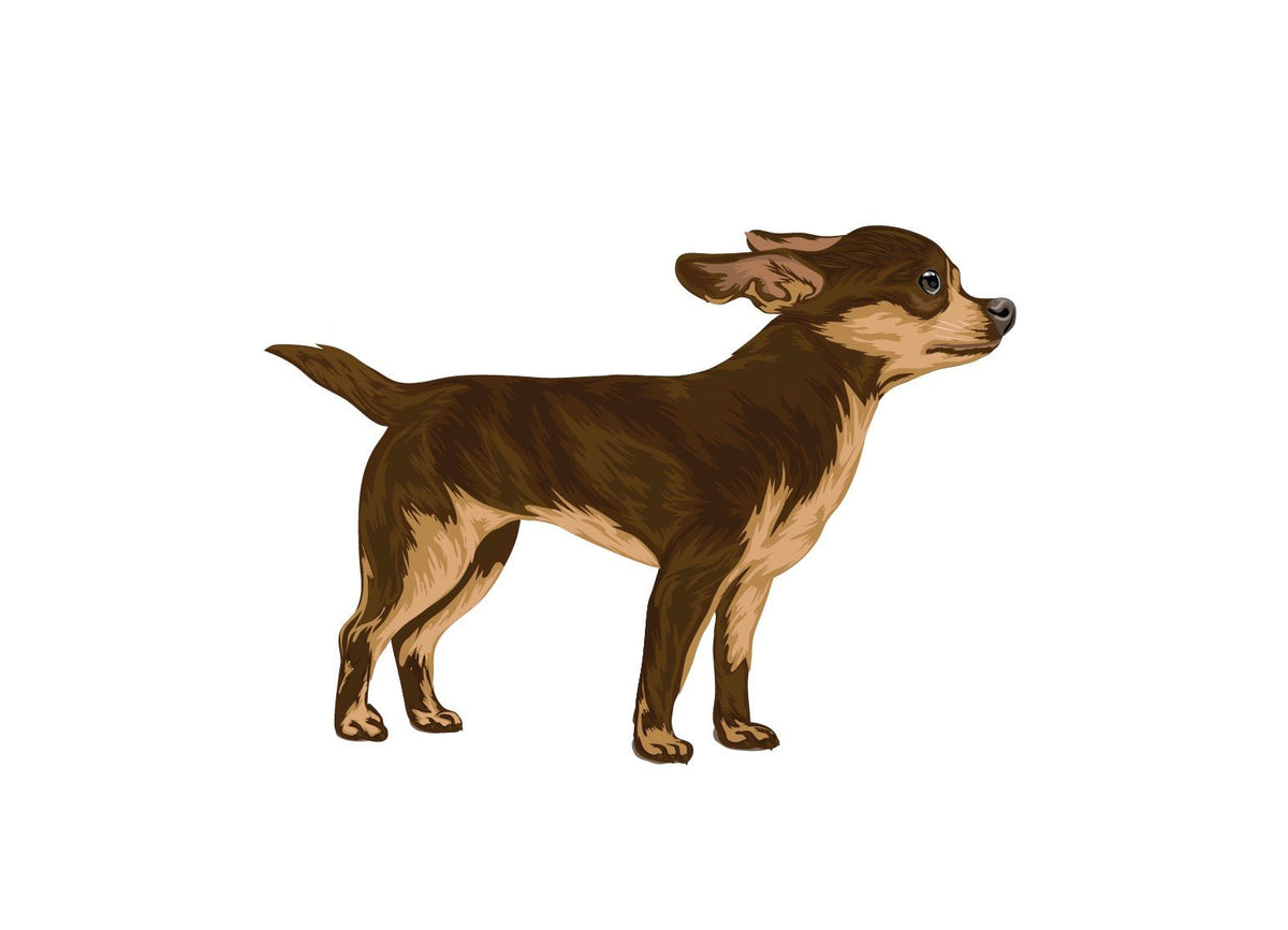 Life-Sized Short Haired Chihuahua Decals - Cover-Alls Decals