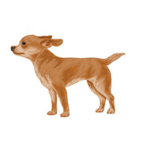 Life-Sized Short Haired Chihuahua Decals - Cover-Alls Decals