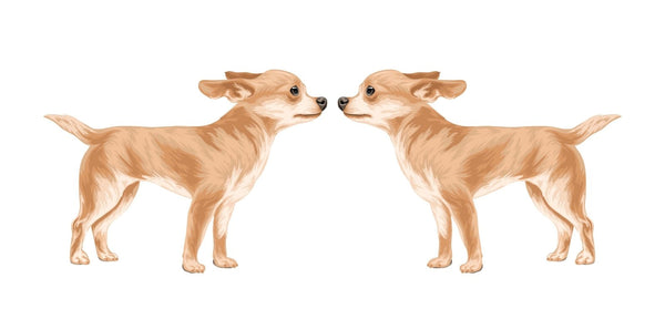 Life-Sized Short Haired Chihuahua Decals - Cover-Alls Decals