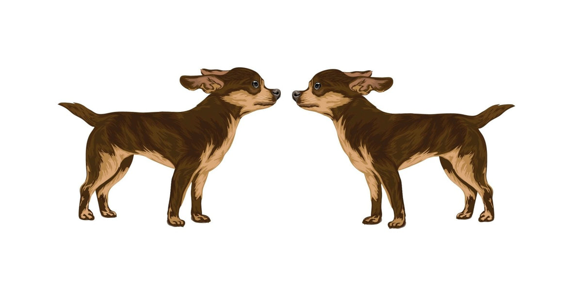 Life-Sized Short Haired Chihuahua Decals - Cover-Alls Decals
