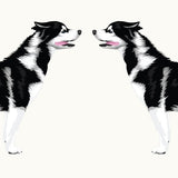 Illustration of two identical black and white Siberian Huskies from the Cover-Alls Siberian Husky Decal facing each other with blue-eyed gazes, tongues out, and tails raised.