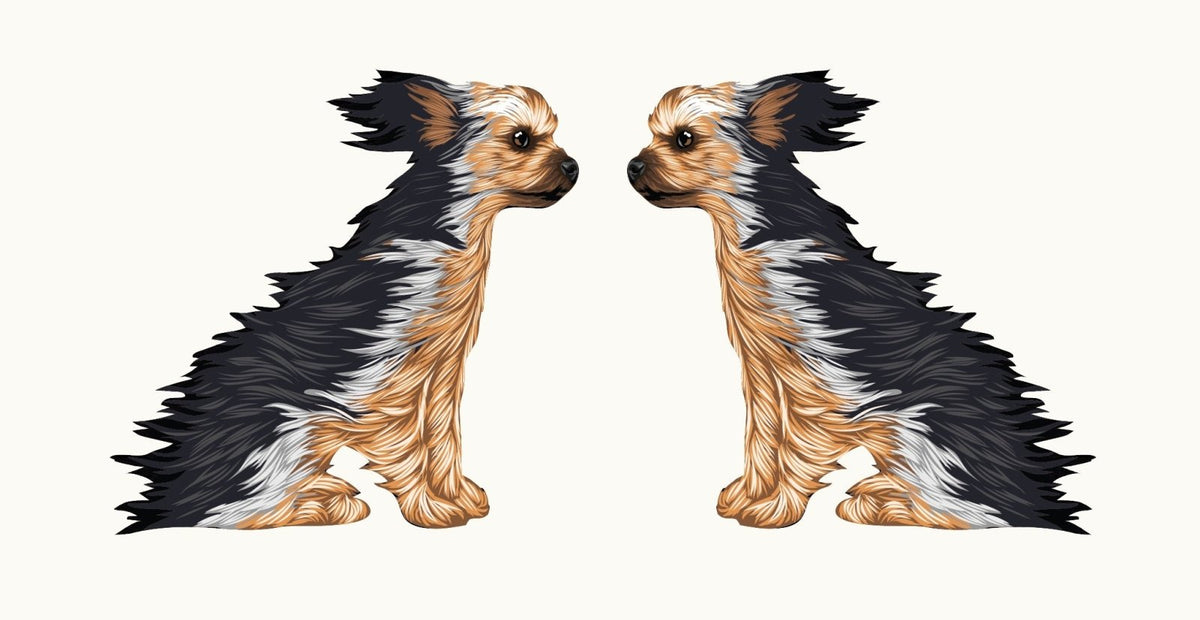 Life-Sized Yorkshire Terrier Decal - Cover-Alls Decals